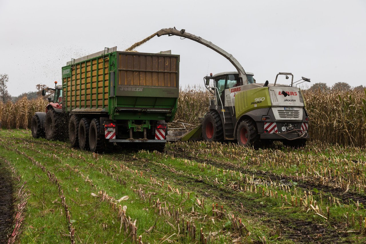 Bild 141 - Biogas am 21.10.12